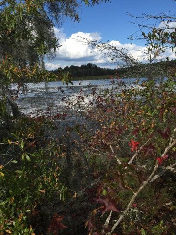 431 Us Hwy 431, Eufaula, AL 36027